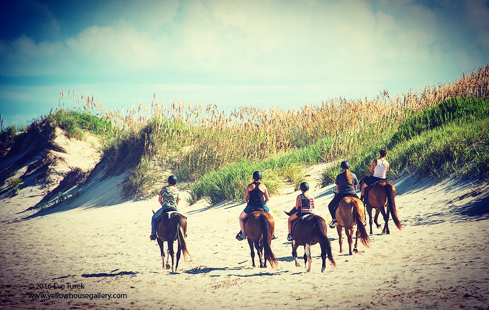 OUTER BANKS HORSEBACK Deals & Promos